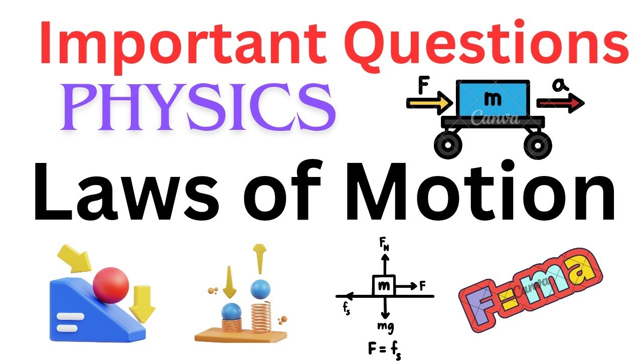 Laws of Motion | Important questions | Physics | Class 11