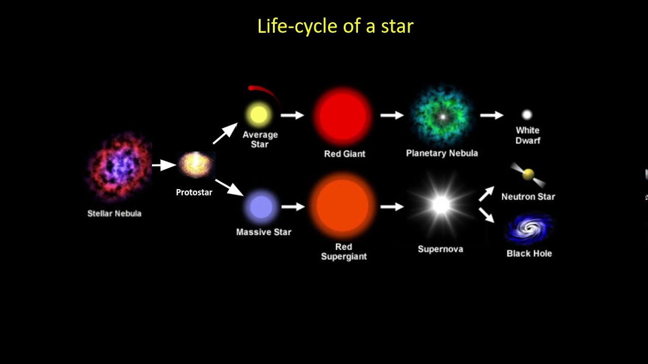 Explanation of the different stages of life cycle of star