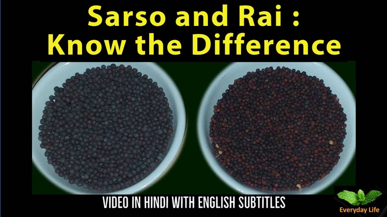 Sarso and Rai:Know the Difference | सरसो और राई में अंतर | Everyday Life # 82