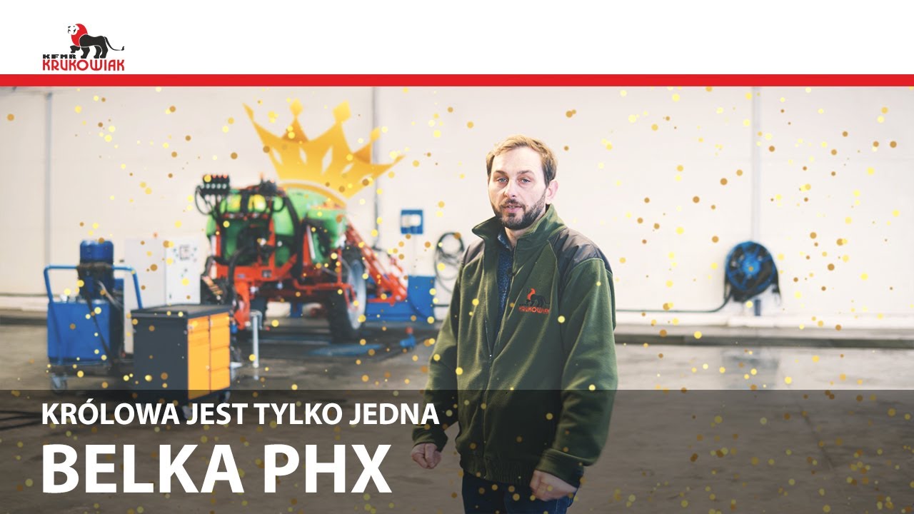 Królowa jest tylko jedna - Belka PHX
