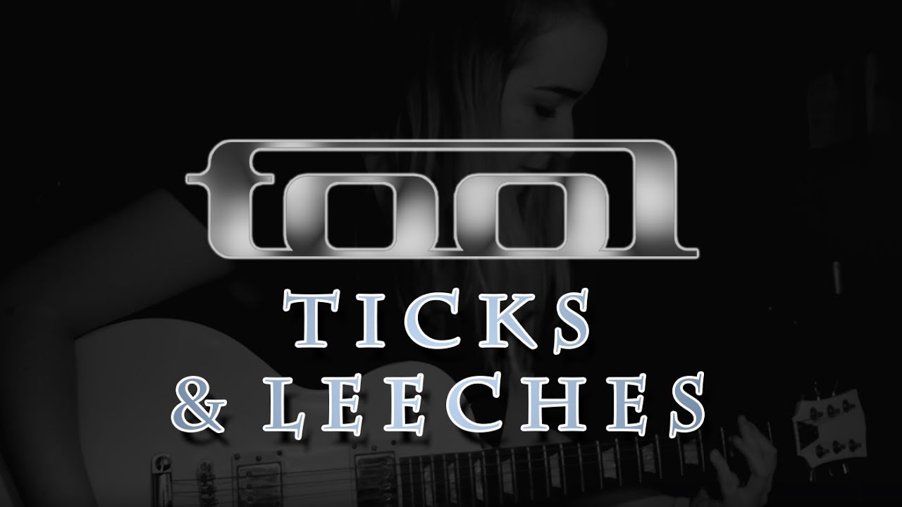 TOOL - TICKS & LEECHES ~ GUITAR COVER