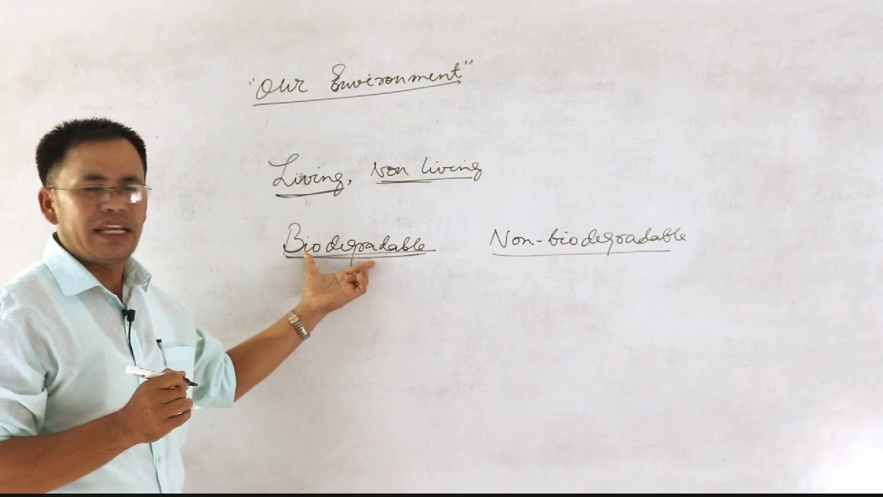 Class X Science Chapter 17: Our Environment