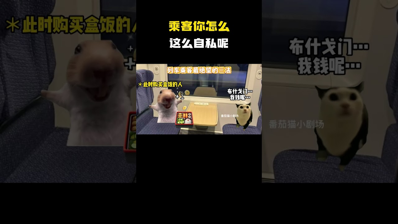 拉回进度条只为再看你一眼&hellip;乘客你怎么这么自私呢！#猫meme #内容过于真实 #funny