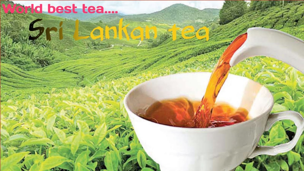 Sri lankan tea, world best tea, ceylon tea