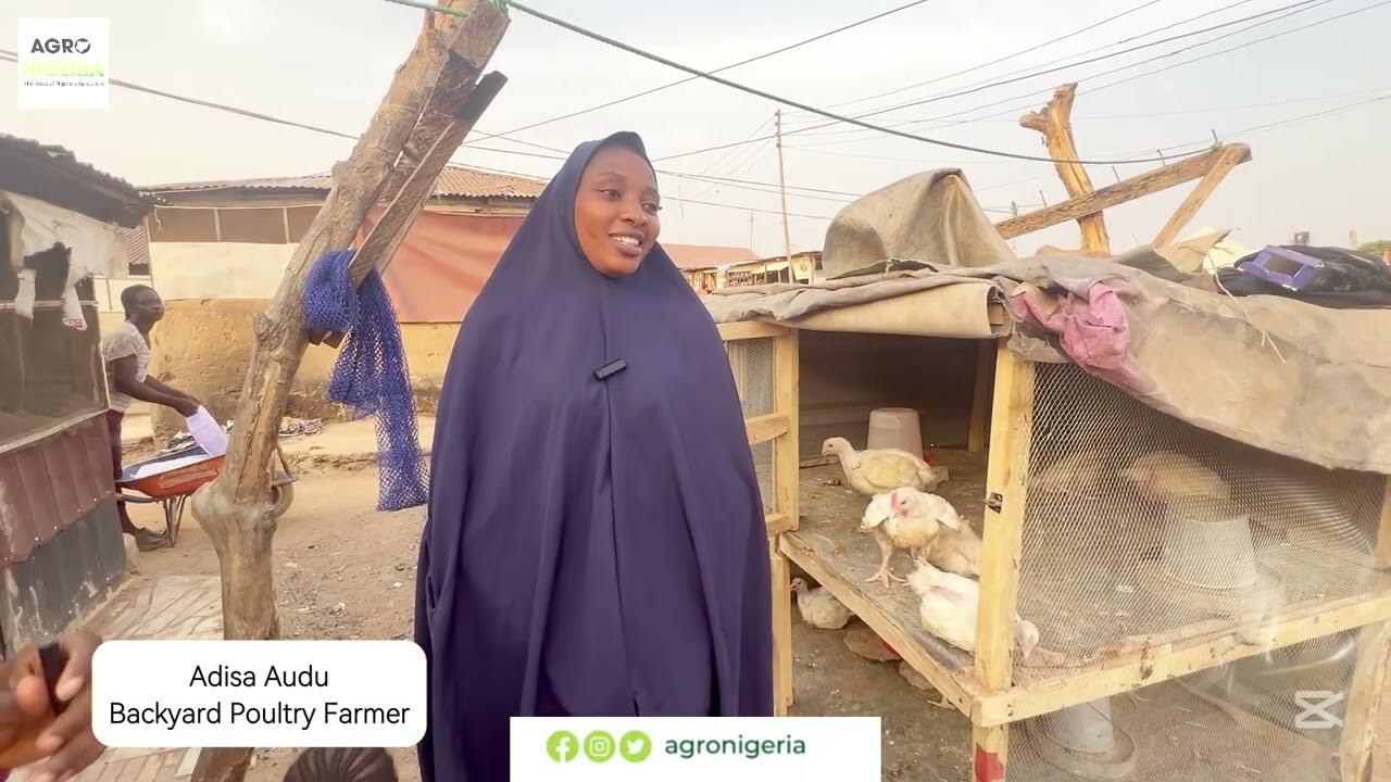 VOX POP || How Has The Agribusiness Environment Been In This Administration So Far?