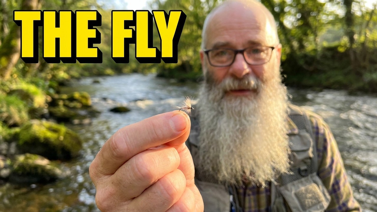 The Fly You Wanted.....