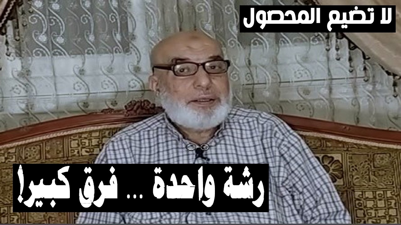 زراعة القمح | رش السنابل ورش الأصداء | أهم رشة في الموسم