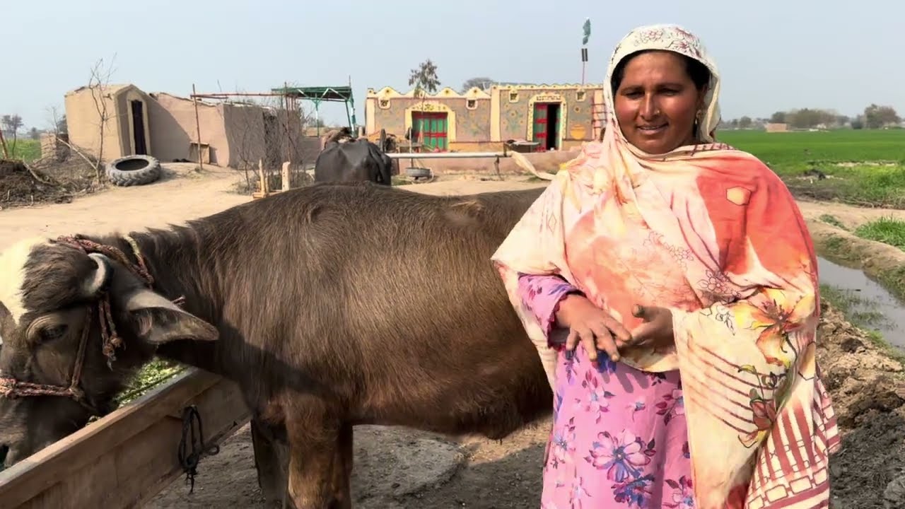 | Ammi ki mud house wapasi aur Barish se pahle ke zaruri kam | Bhabhi Ne baby ko Kis Se chhupaya |