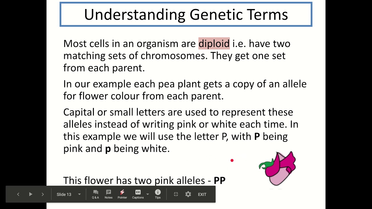 National 5 Biology - Variation and Inheritance (Unit 2 KA4)