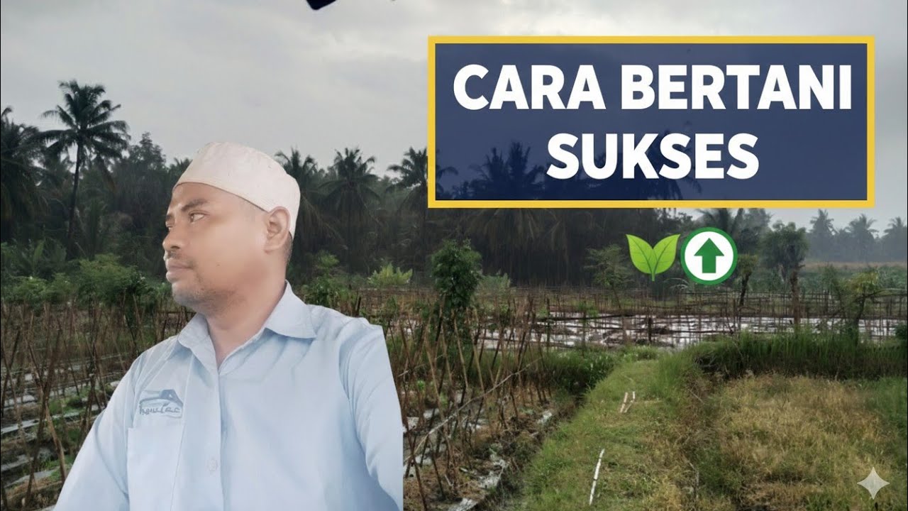 CARA BERTANI SUKSES, APA BENER⁉️