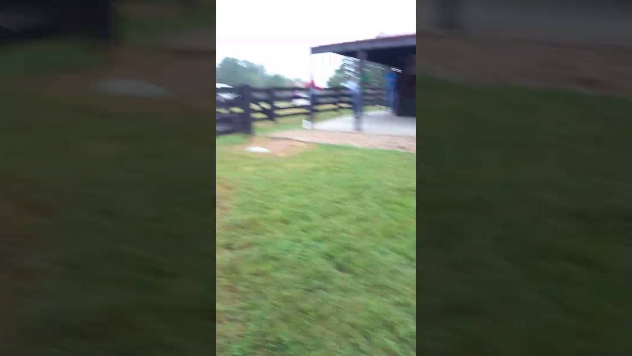 Moss Mountain Farm Poultry Workshop