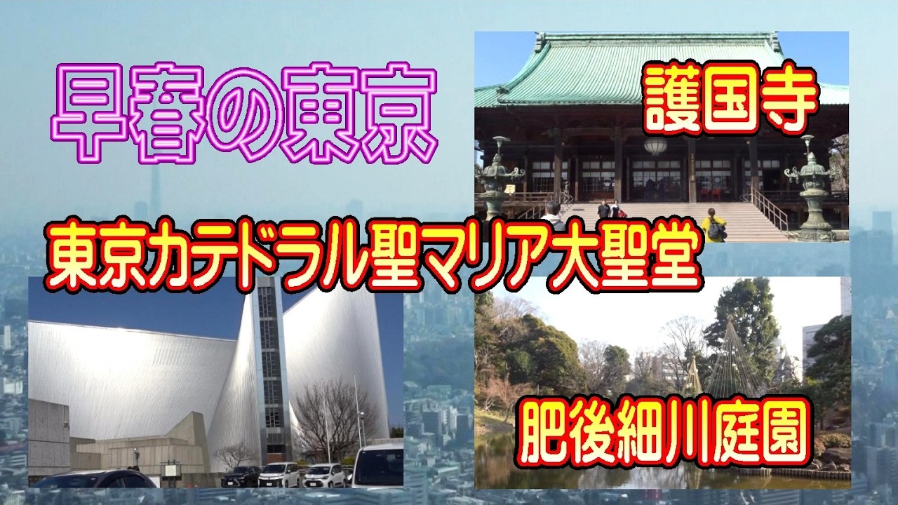 早春の東京　護国寺　東京カテドラル聖マリア大聖堂　肥後細川庭園