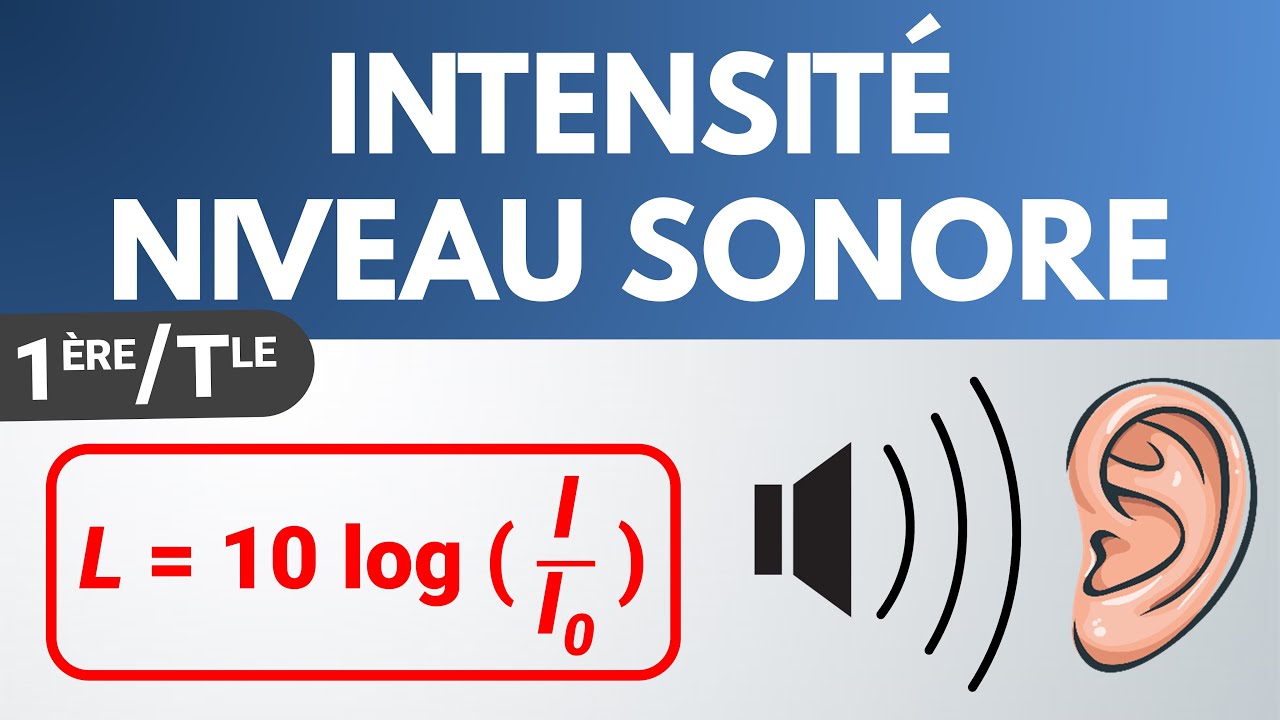 INTENSITÉ SONORE & NIVEAU D'INTENSITÉ SONORE ✅ Terminale Spécialité | Physique