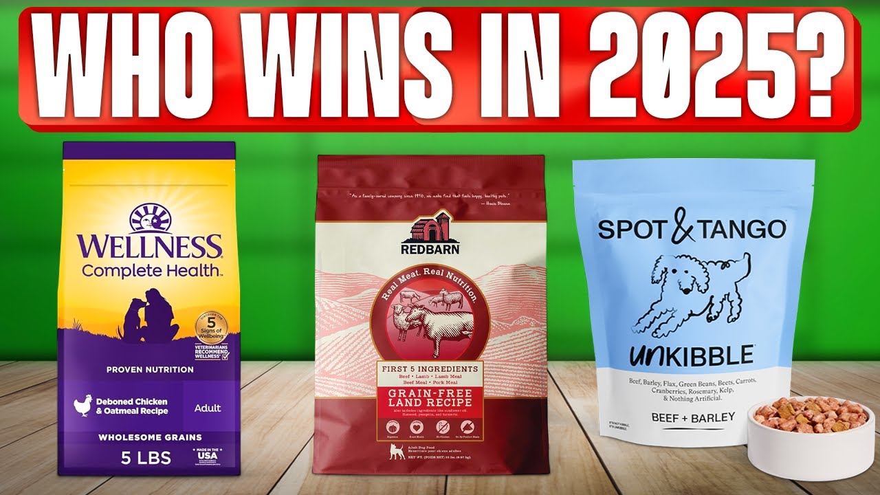 TOP 5 Best Dog Foods 2025