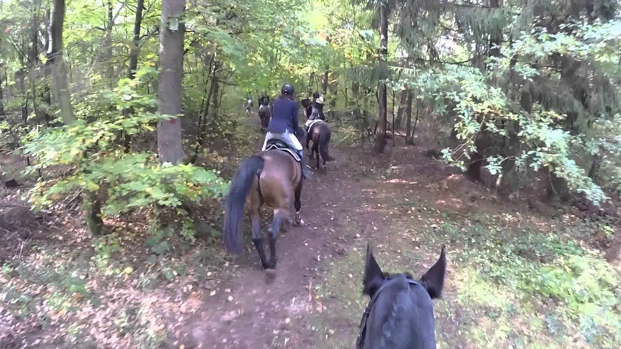 Hubertusjagd Schaafheim, 18.10.2015