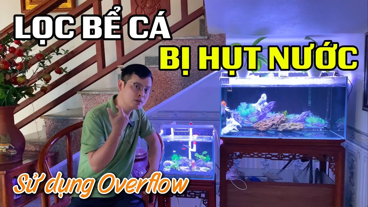 Lọc bể cá bị hụt nước khi sử dụng bộ Overflow