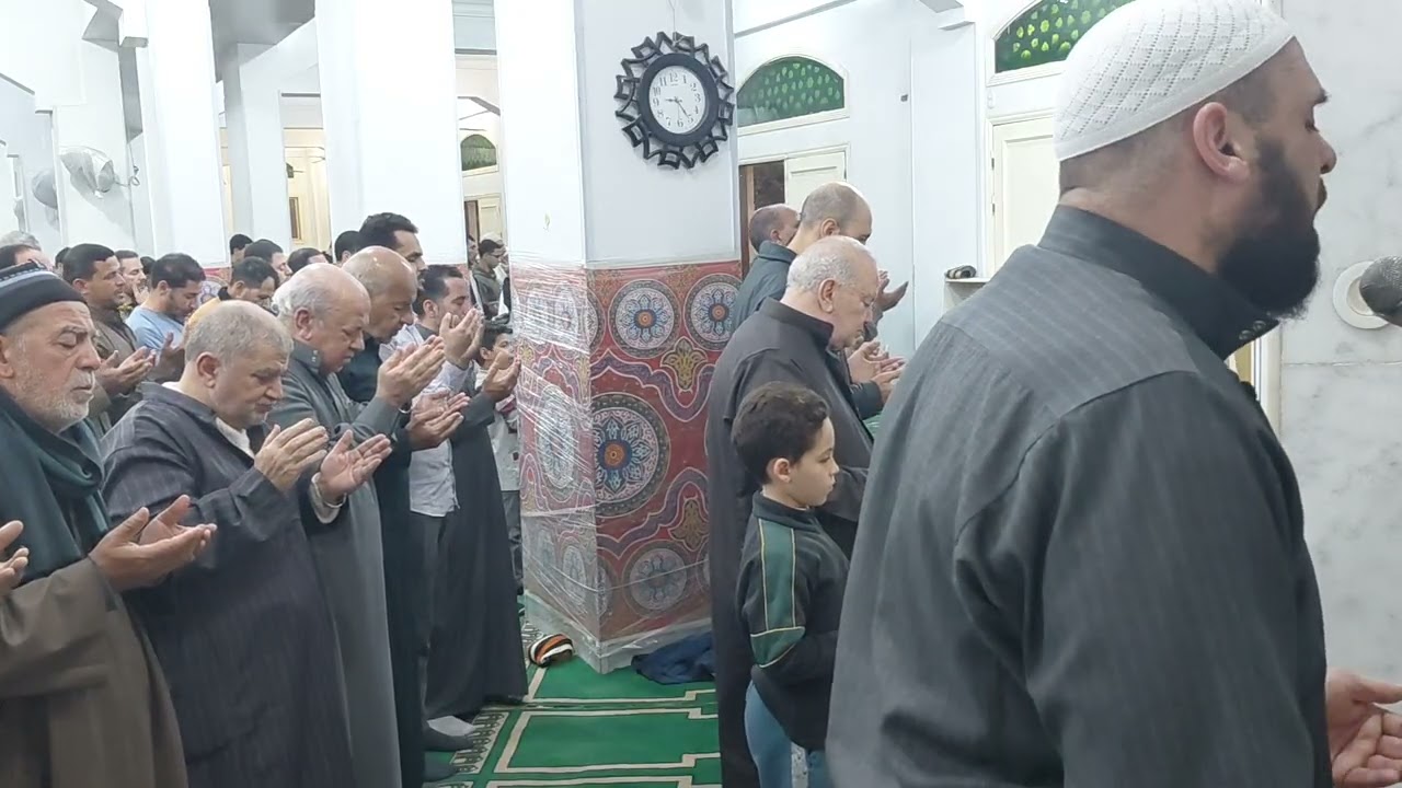 صلاه الوتر الشيخ محمد القصاص