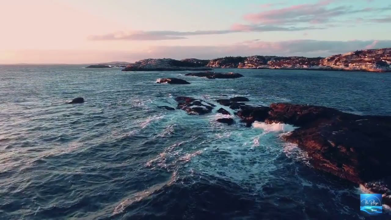 Documentaire science de la vie | Origines du vivant - Voix off féminine Flo Rilège