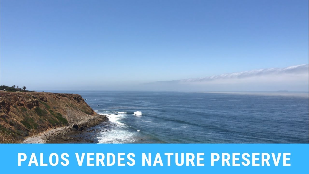 California Scenic Views : Palos Verdes Nature Reserve 4K Video