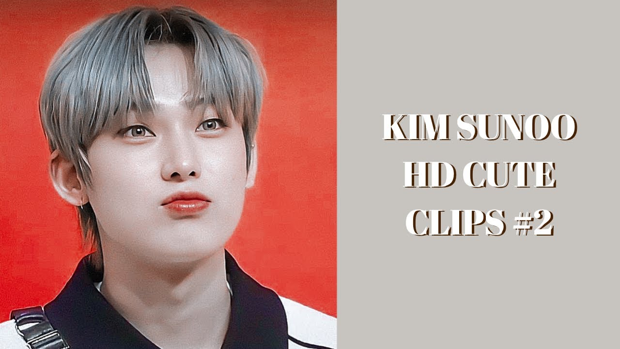 sunoo clips #2 / enhypen / mega link