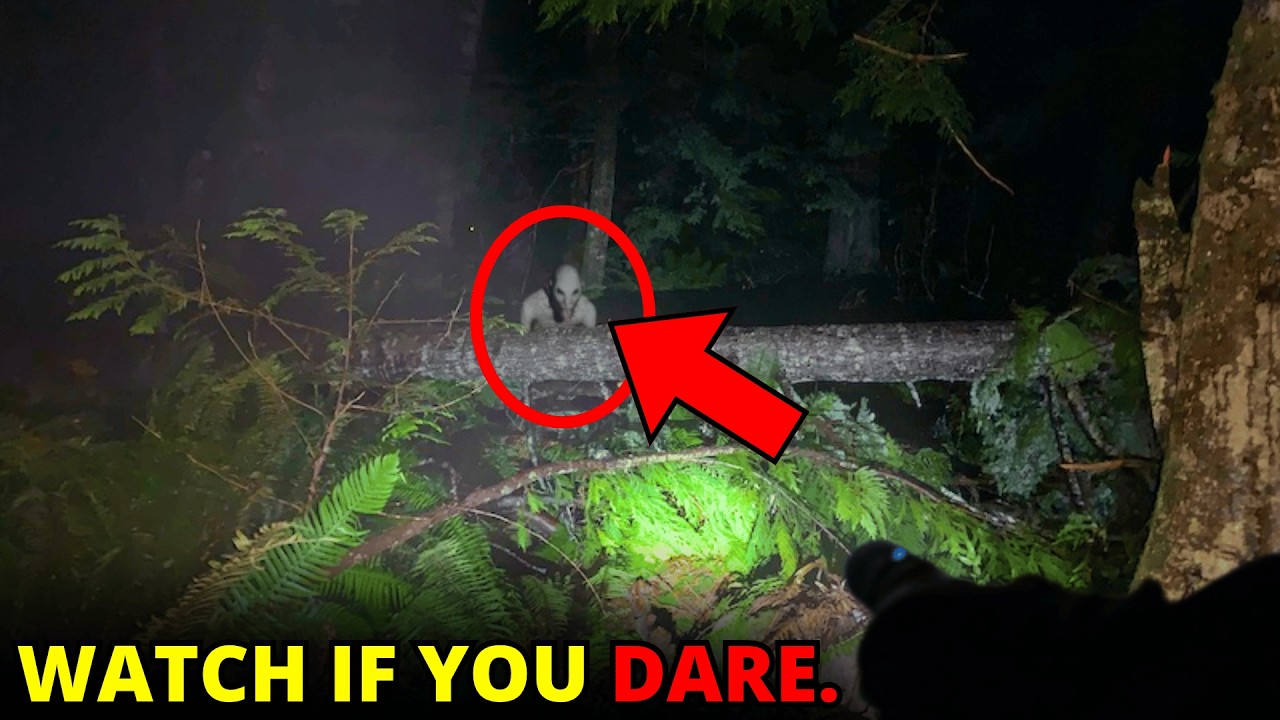 26 SCARIEST Creature Encounters Spotted In The Woods | Scary Comp V364