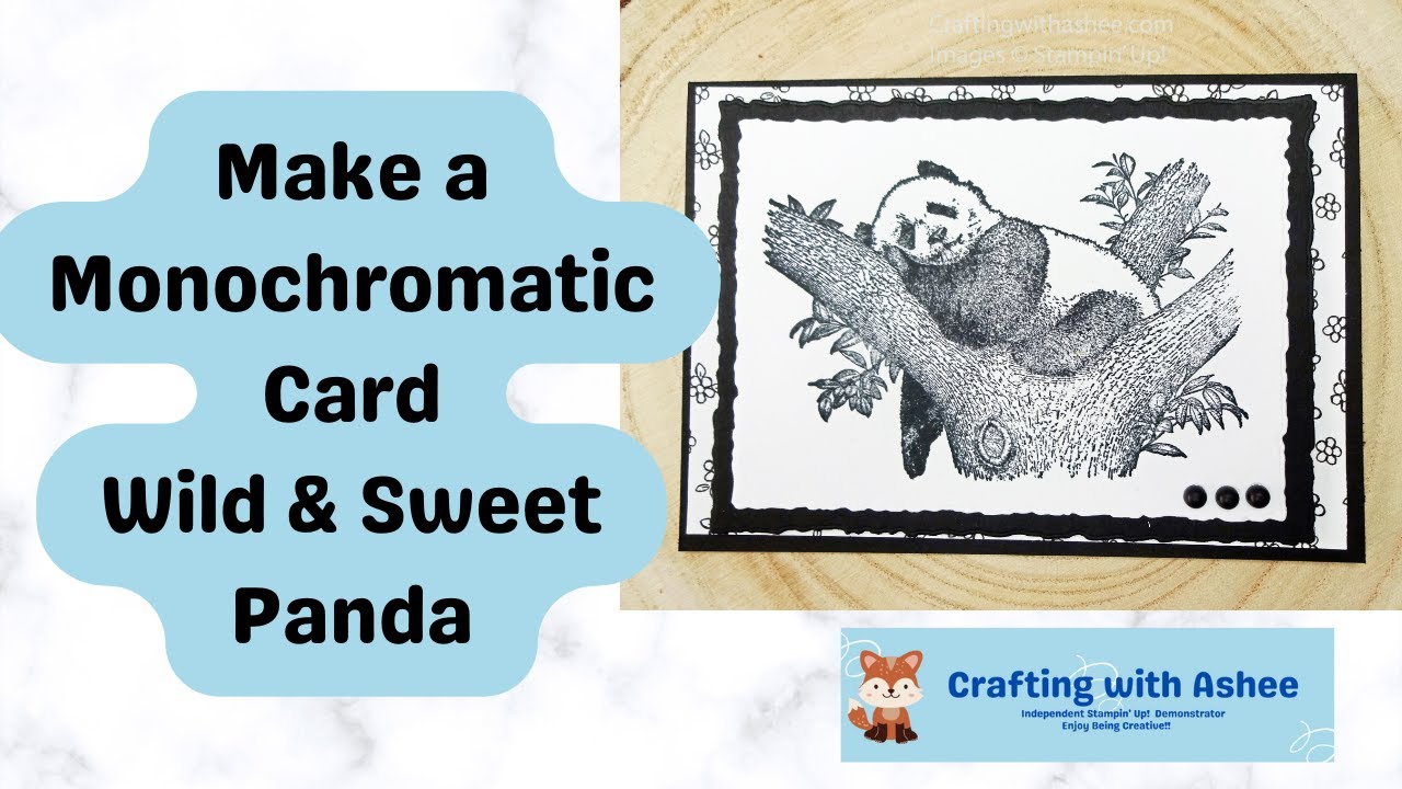 Make a Monochromatic Panda Card - Wild & Sweet - Stampin' Up!