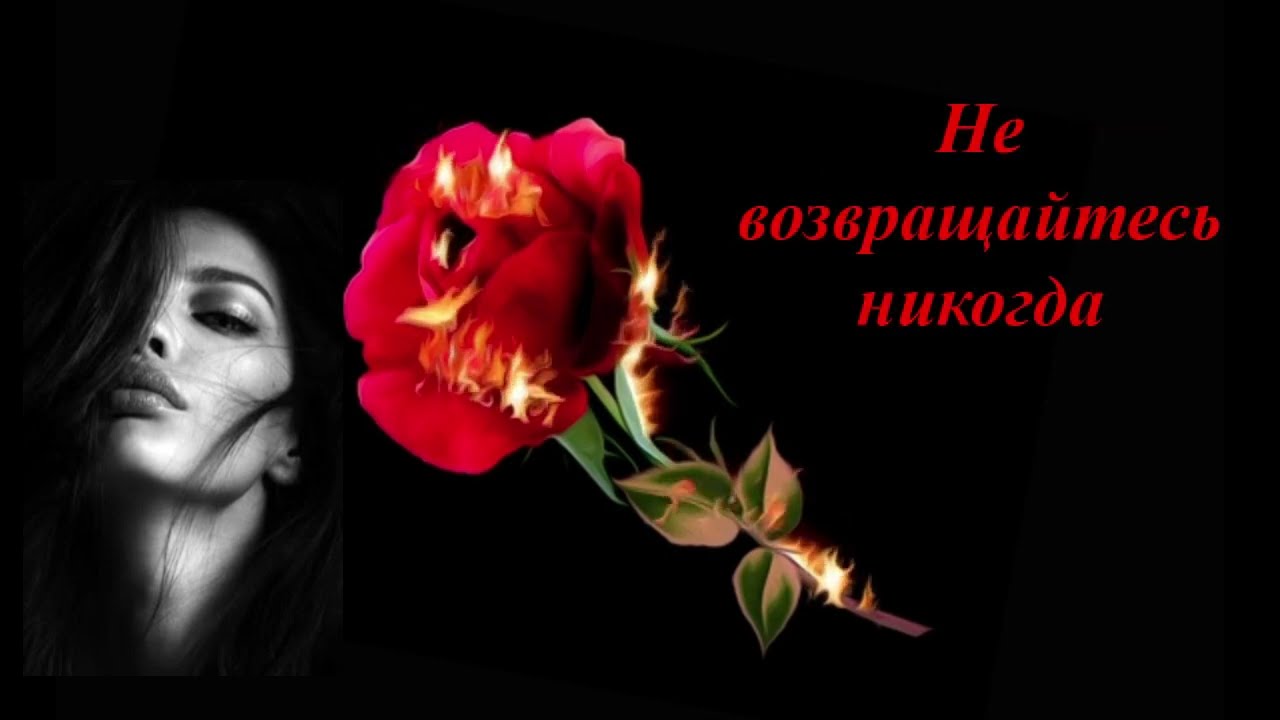 Не возвращайтесь никогда (Каролина Вербицкая, Елена Карпук)