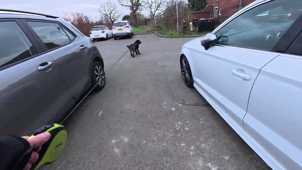Walkies 7 3 26