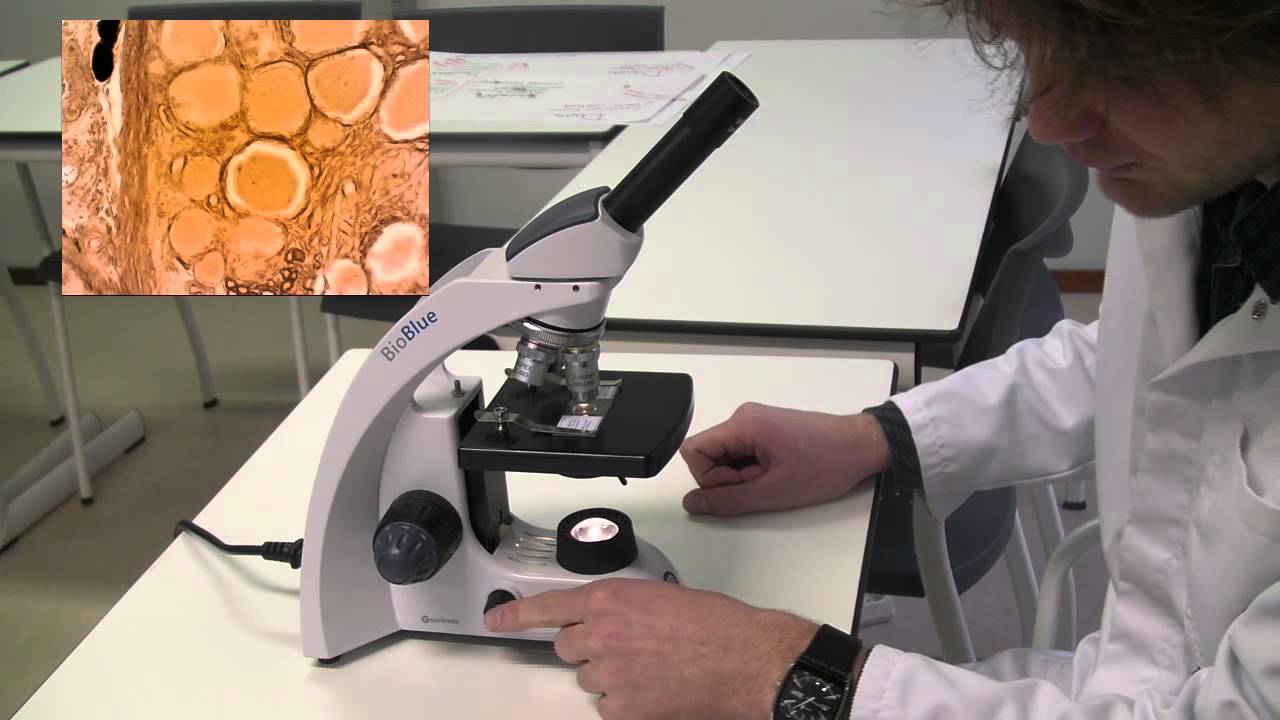 Hoe werkt een microscoop
