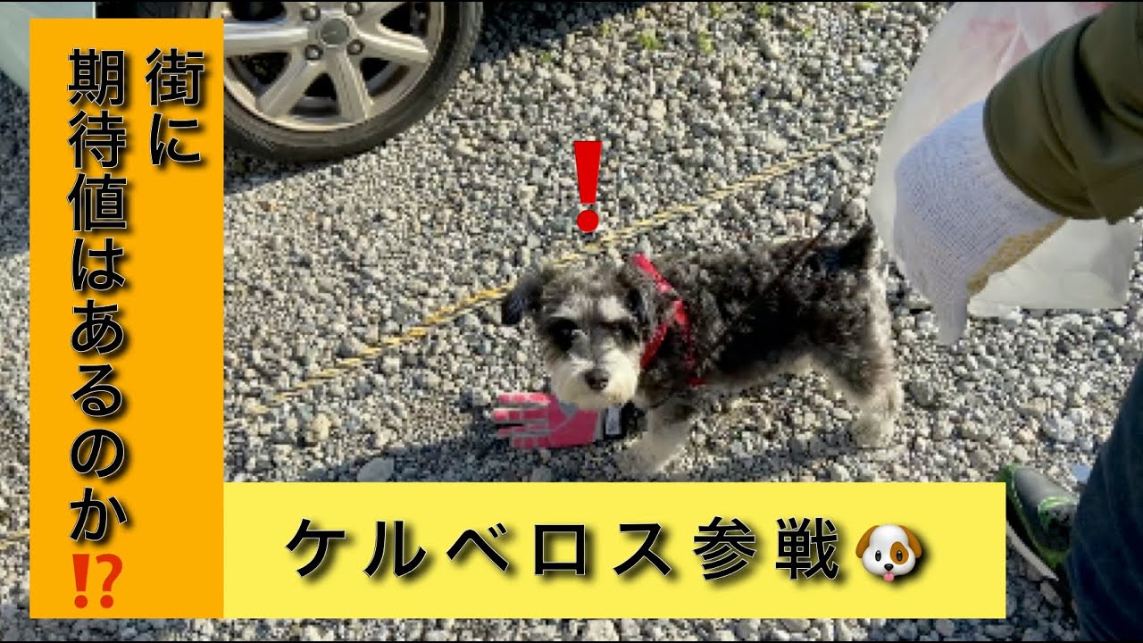 金目のものが欲しいから、ゴミ拾いと称して、期待値を探した結果&hellip;&hellip;@鴻巣