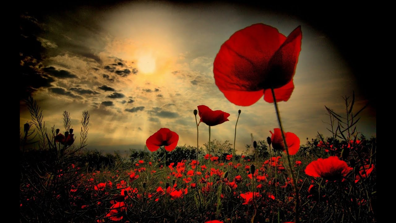 Thomas Deacon Academy - Remembrance Day Service 2023