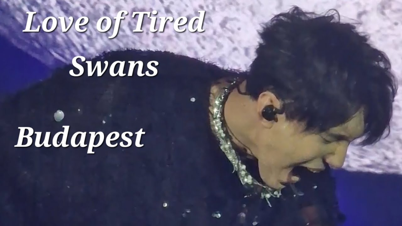 Love of Tired Swans ~ Budapest 4.05.24 Dimash Qudaibergen[fancam]