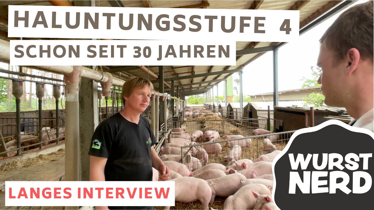 Schweine im Stroh seit 30 Jahren, langes Interview