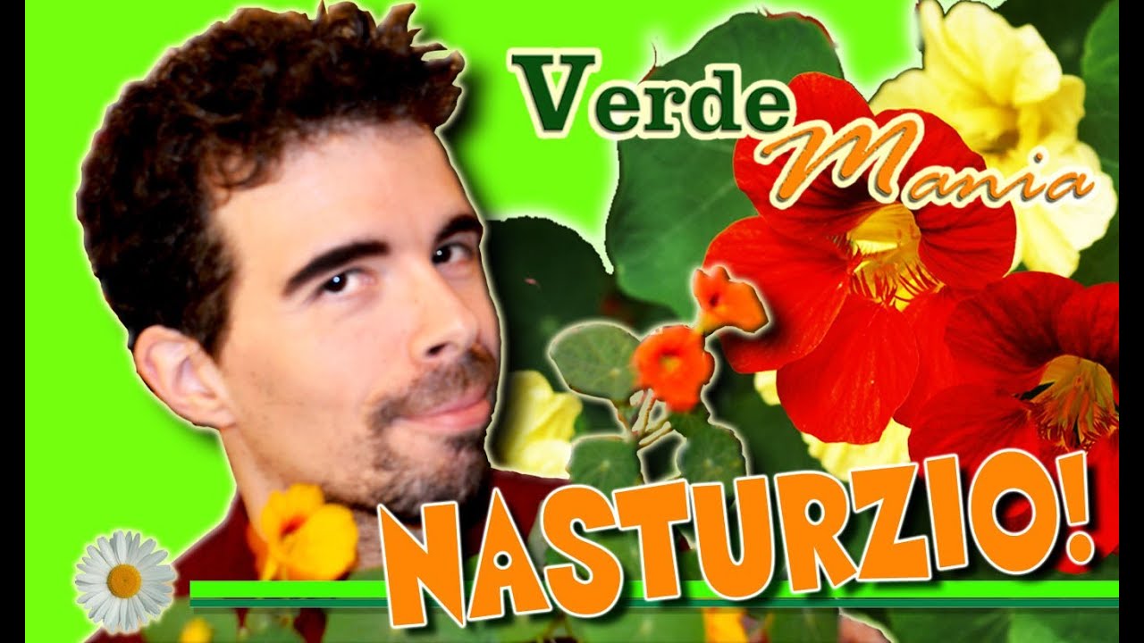 IL NASTURZIO: COLTIVAZIONE, CURE E MOLTIPLICAZIONE