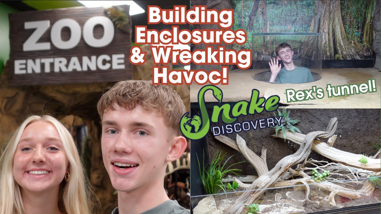 Building Enclosures & Making Messes at the Snake Discovery Zoo! | Enclosure Build-Off 2023