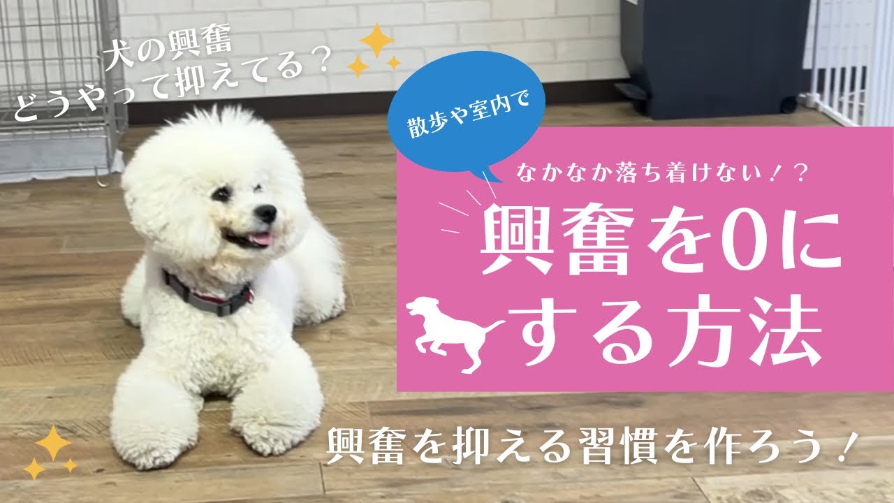 【興奮】興奮を0にする方法