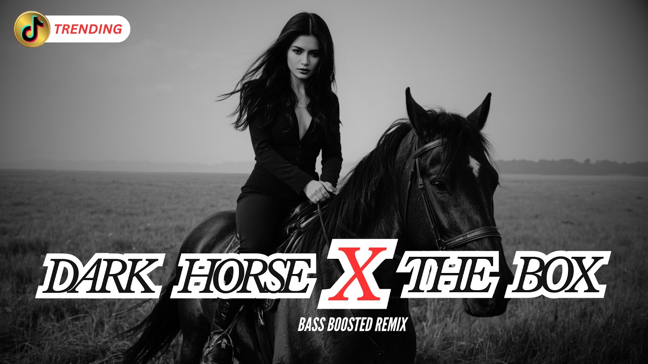 DARK HORSE X THE BOX | DJ TIKTOK REMIX |  #remix #dj #remixtiktok #viral #trending #youtubemusic