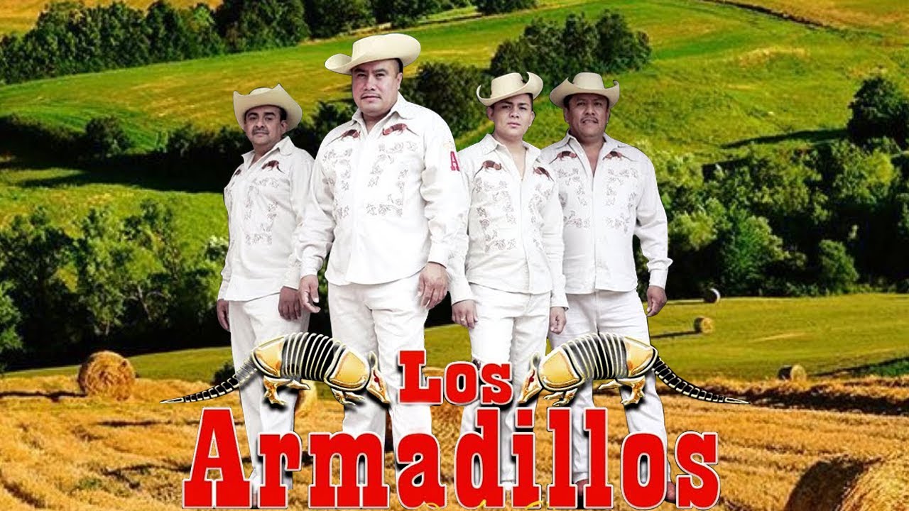 Mix Cantinero 🎸 Los Armadillos De La Sierra🍂🍷Corridos Sierreños con Guitarras🕯️🌙Cantina Night