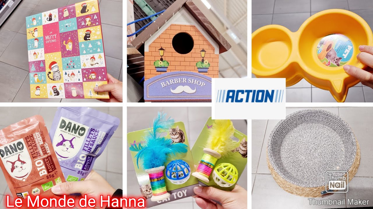 ACTION ARRIVAGE 30-09 ANIMAUX CHIEN 🐕 CHAT 🐱 ACCESSOIRES
