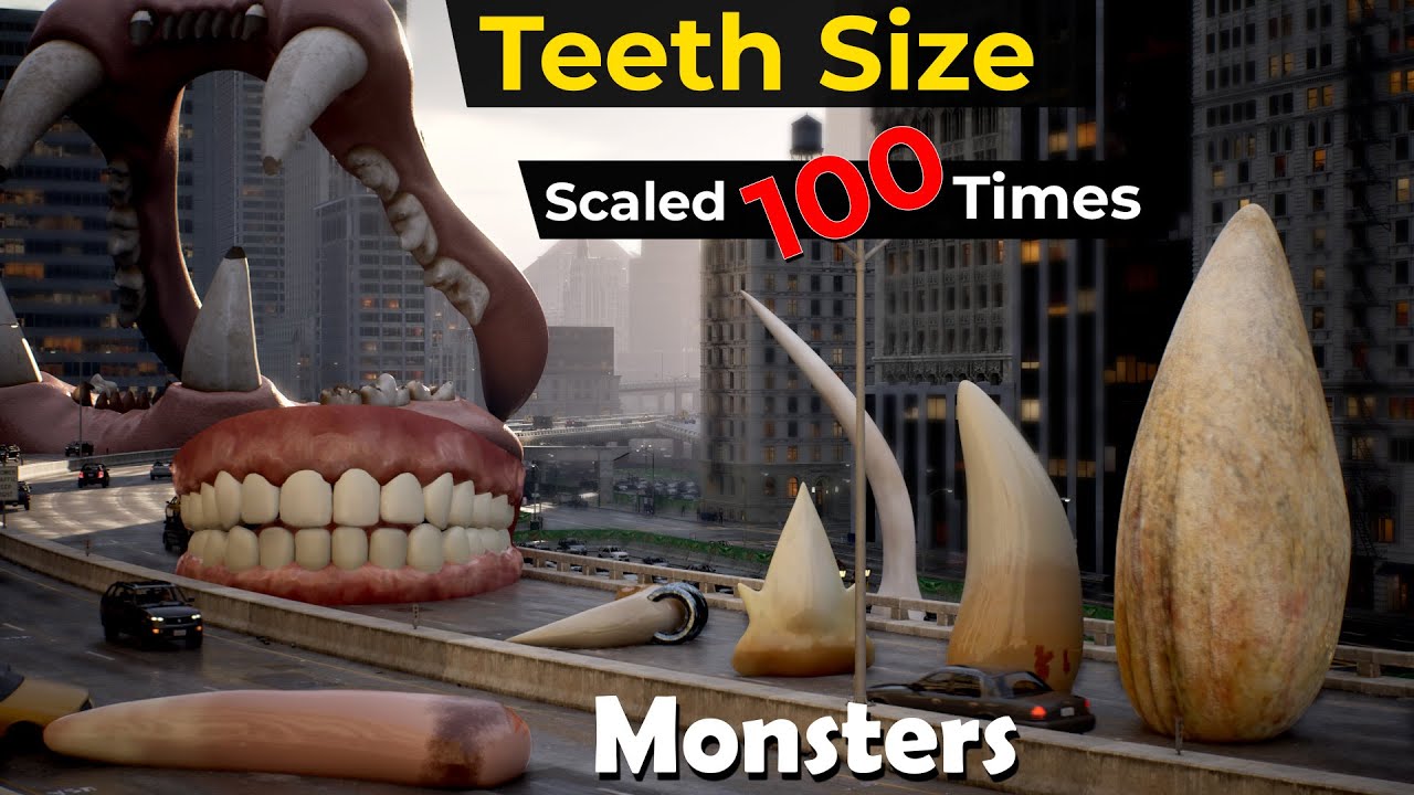 Monster Teeth Size comparison at 100 Scale | if Teeth's size increased by100 times