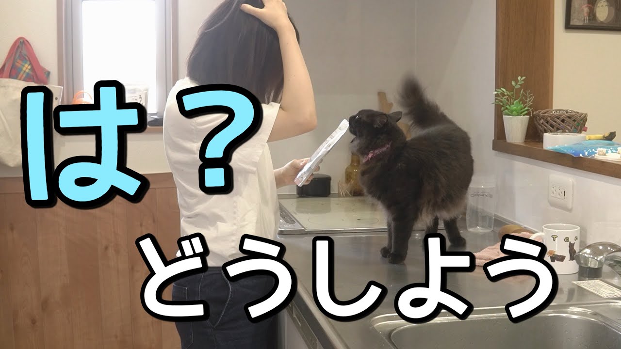 【絶望】旦那が買った衝撃のカレーでまさかの事態に。ズボラ主婦…試練の夕食作り２日間