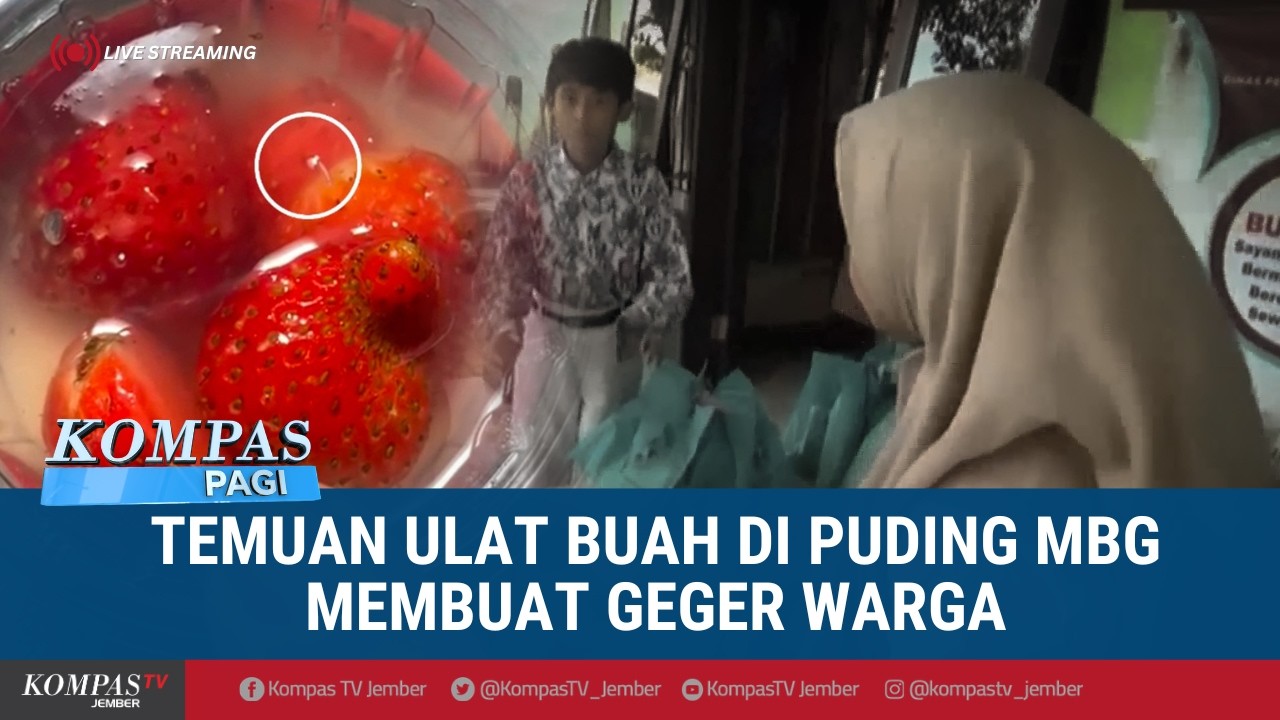 Puding Makan Bergizi Gratis di Malang Ditemukan Ulat, Pemkot Lapor ke BGN | KOMPAS PAGI