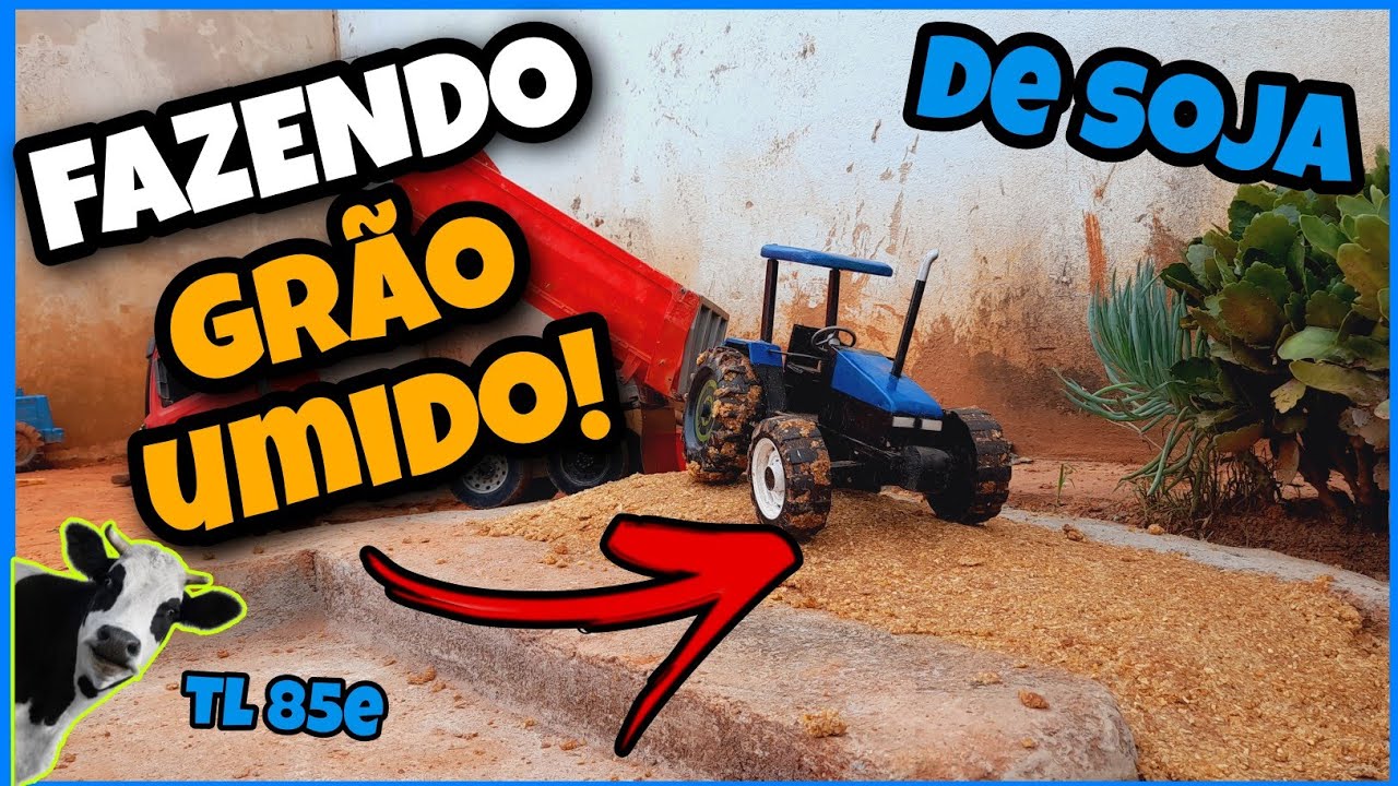 FAZENDO GRÃO UMIDO DE SOJA COM O TL 85e 🤠