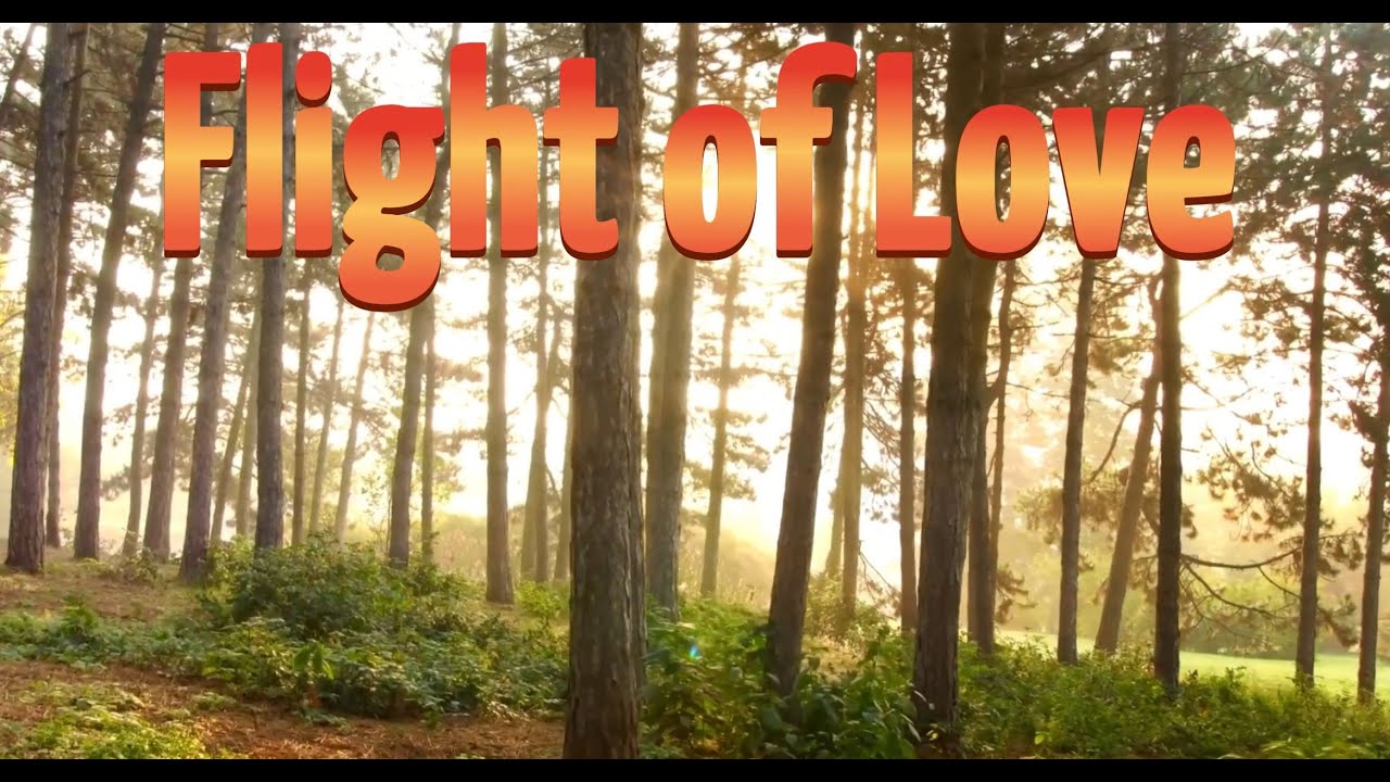 Flight of Love