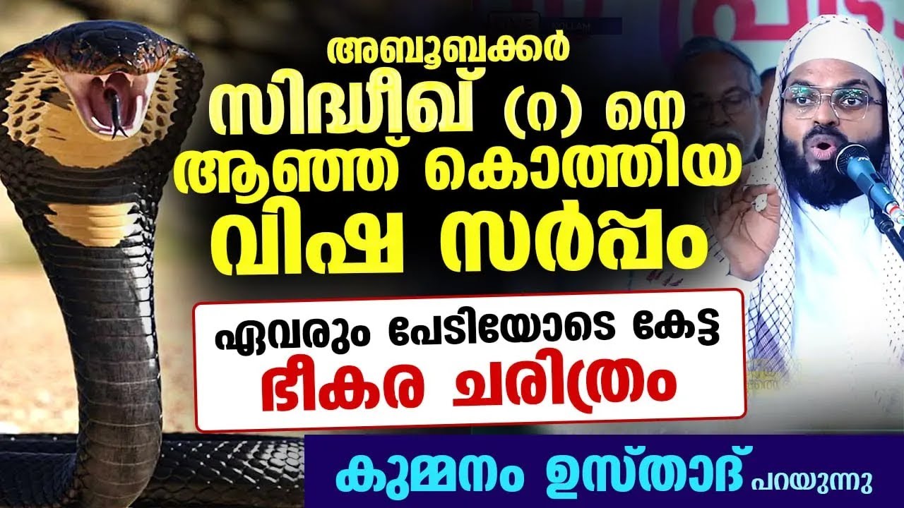 സിദ്ധീഖ് (റ)നെ ആഞ്ഞ് കൊത്തിയ  വിഷ സർപ്പം... ഏവരും പേടിയോടെ കേട്ട ഭീകര ചരിത്രം Kummanam usthad latest