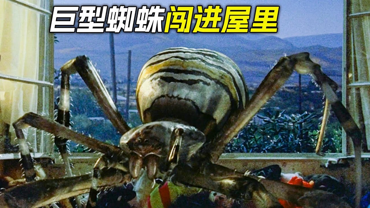 巨型蜘蛛爬進窗戶裡，攻擊起了女孩，科幻，奇幻，電影，解說，獵奇， 懸疑，冒險，巨獸，怪獸，蜘蛛