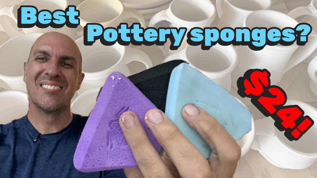 Are Diamond Core’s $24 Pottery Sponges Actually Worth It? (Honest Review)