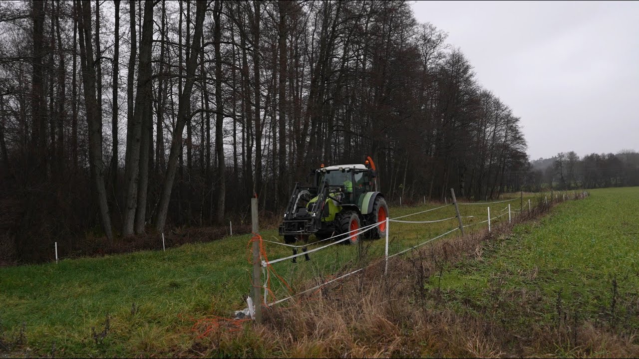 Skjøtsel og pleie av vegetasjon langs bekkekanten