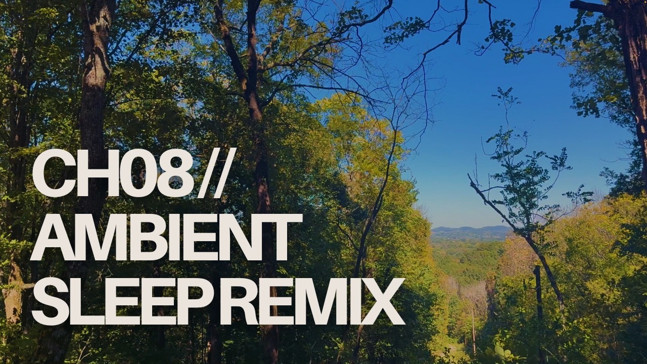 Chapter Eight // Ambient Sleep Study Mix