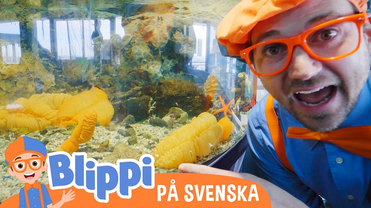 Blippi Svenska | Lära sig om undervattensdjur med Blippi | pedagogiska videor för barn